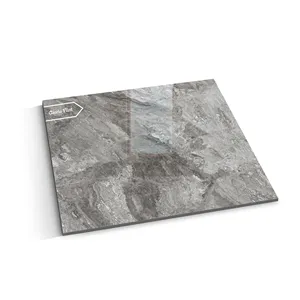 Carreaux de sol en porcelaine de granit de 600x600mm du principal fabricant dernière conception argile modifiée pour le mur intérieur de la villa prix bon marché - Product Image 1
