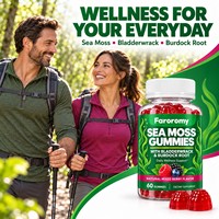 Gummies de mousse de mer OEM saveur baies mélangées, complément alimentaire à la fucus vésiculeux et à la racine de bardane, formule botanique triple