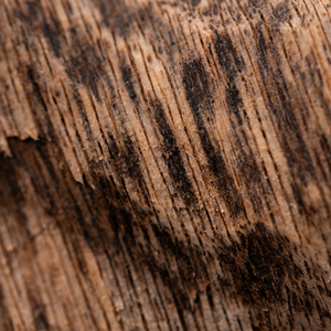 Copeaux de bois d'agar cultivés au Vietnam, résine moyenne, pour encens de qualité Oud 100g - Product Image 3