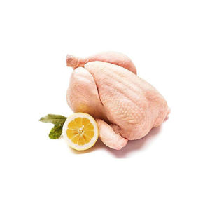 Viande de poulet entière congelée de qualité supérieure, fraîche, à prix bas, parmi les meilleures ventes - Product Image 6