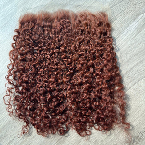 Peluca de Cabello Virgen Vietnamita Rizado con Frente de Encaje, Doble Trama, Alta Definición, Densidad del 250% y Opciones Multicolor - Product Image 5