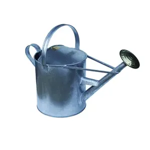 Wholesale Garden Watering Can Low Prices Premium Quality Metal Water Plants Shower Pot with Handle