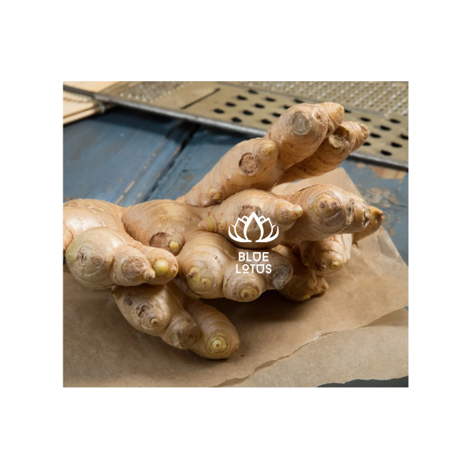 HIGH QUALITY VIETNAMESE GINGER CHEAP WHOLESALE PRICE AVAILABLE IN CARTONS EXPORT READY