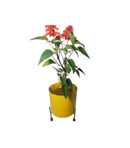 Florero de Metal de diseño martillado con acabado plateado más vendido, florero decorativo de mesa ecológico para decoración de sala de estar y dormitorio - Product Image 1