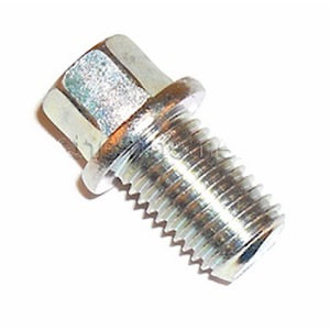 Vite di scarico da 7 HP Categoria Prodotto: Ricambi Motore Macchinari Modello Rif. 300746 - Product Image 1