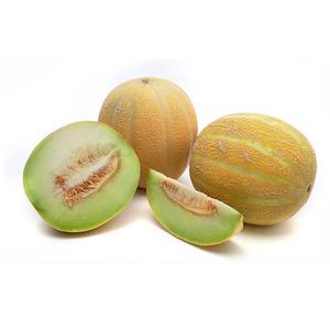 muskmelon