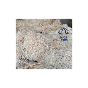 Palm <b>Leaf</b> Corypha Lecomtei <b>Leaf</b> Vietnam Raw Material In Bulk Packing Best Price - Product Image 1