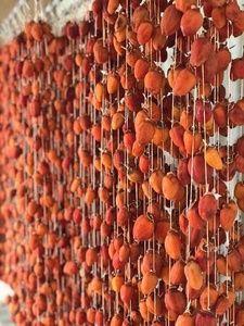 ลูกพลับอบแห้งแบบสดใหม่ลูกพลับแห้งสำหรับค้าปลีกและบรรจุภัณฑ์จำนวนมาก-ลูกพลับอบแห้งเพื่อสุขภาพ - Product Image 5