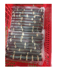 Palitos de caña de azúcar congelados de alta calidad, Exportación a granel para producción de jugo fresco y fabricación de edulcorantes - Product Image 1