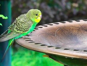 Bain d'oiseaux décoratif en plastique pour jardin extérieur, sur pied, mangeoire pour oiseaux - Product Image 2