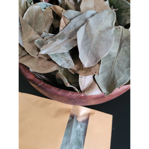 ใบ soursop, ใบ annona muricata แห้ง, ใบ guanabana, จัดส่งฟรี, จำนวนใบที่เลือก - Product Image 1