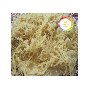 EUCHUMA COTTONII DE MOUSSE DE MER SÉCHÉE AU SOLEIL ALGUES DU VIETNAM IDÉAL POUR LA BEAUTÉ ALIMENTAIRE ET L'USAGE QUOTIDIEN - Product Image 4