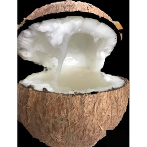 Macapuno noix de coco entière/fruits biologiques en gros du Vietnam - Product Image 4