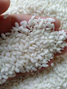 Vente en gros, couleur blanche, Type de culture commun, riz gluant à Grain Long, doux, Ms sofia - Product Image 2