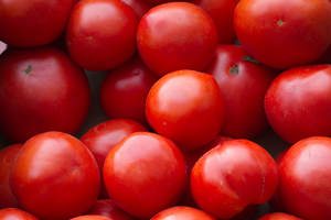 Tomates Frescos Orgánicos Rojos Tipo Ciruela en Venta - Product Image 4