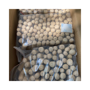 Masticar para perros de madera de café listo para exportar de árboles de café naturales que se tratan y elaboran para la suavidad del perro - Product Image 1