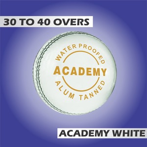 Academy Best Quality White Cricket Balls International Standard 6 Pack ALUM Tannd Leather 156gm-160gm Entretenimiento deportivo - Product Image 4