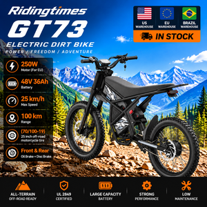 Motocicleta Eléctrica Todoterreno Ridingtimes GT73 con 290 Nm de Torque - Product Image 1