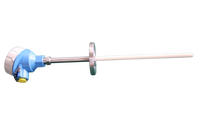 Sonde de température personnalisable OEM en acier inoxydable 316/304 avec tube de sonde en corindon PT100, filetage/à bride NPT 1/4 1/2