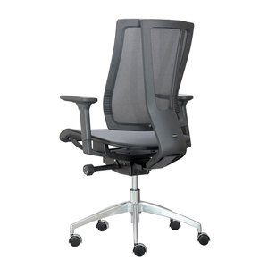 GENESIS02 Premium Office <b>Chair</b> Ergonomic Mesh Back Swivel with Aluminum Base Contemporary Lift Style for Staff for Workshops - Product Image 5