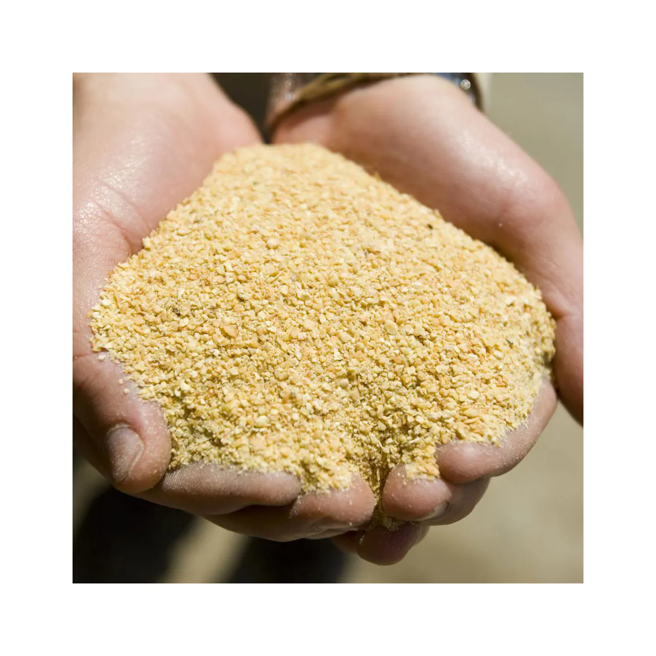 Acquacoltura farina di pesce pesce in polvere farina di pesce additivo alimentare animale farina di soia alimentazione animale