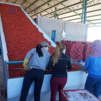 Sécheuse à herbe de 500 kg par heure, équipement de transformation des fleurs d'hibiscus, machine de séchage des jacinthes pour l'herbe