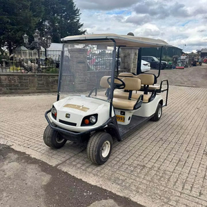 Carrito de Golf Cushman 2013 de 6 Plazas, Gasolina, 4 Tiempos, con Toldo, Barra de Remolque Trasera y 448 Horas, Certificado CE, 50-70 km/h - Product Image 1