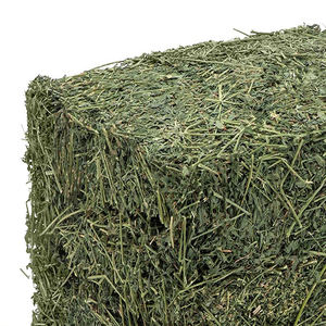 Nouveau foin de luzerne prêt à l'approvisionnement Foin de luzerne à haute teneur en protéines pour l'alimentation animale Prix bon marché - Product Image 2