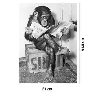 Decoración de Pared con Diseño de Chimpancé Leyendo un Periódico, Hecha de Papel Resistente - Product Image 1