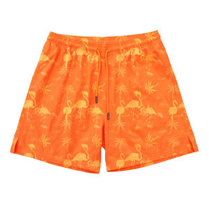 Shorts de Playa Personalizados de Alta Calidad, Ecológicos e Impermeables para Hombre, Shorts de Verano, Bañador de Malla para Hombre - Product Image 1