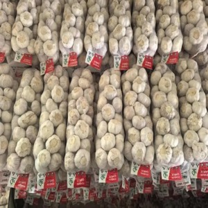 Ail frais cueilli récemment, taille 4,5-6 cm, ail frais de haute qualité pour la vente en gros et l'exportation internationales - Product Image 1