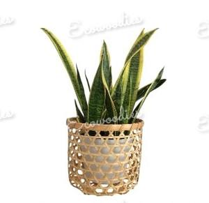 Vente en gros jardinière en rotin tissé à la main paniers pour pots de fleurs décoration de la maison paniers en osier pots pour plantes d'intérieur décoration de table - Product Image 4
