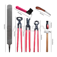 Kit d'outils de maréchal-ferrant toilettage soins des animaux vétérinaire pince à sabot pince à râper marteau couteau brosse à sabot, lime fer à cheval
