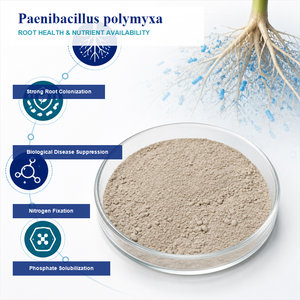 Poudre de Paenibacillus Polymyxa en gros, 10 milliards d'UFC/g, Biofertilisant, Conditionneur biologique du sol, Direct usine - Product Image 2