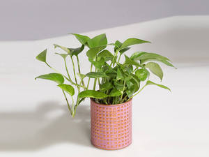 Maceta de jardín de forma redonda de la mejor venta en cobre con acabado de color rosa para exhibición de flores en interiores y exteriores al mejor precio - Product Image 2