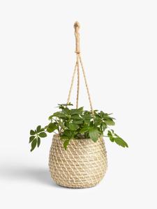 Article chaud Pot de jardinière suspendu naturel, pot de fleur tissé en jacinthe d'eau Seagrass pour la maison jardin OEM ODM - Product Image 4