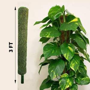 Premium Quality <b>Dried</b> Wood Style <b>Moss</b> Pile Direct from Vietnam for Furniture Use High Quality Agriculture Product - Product Image 1