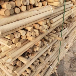 Gran cantidad de palos de madera redondos para la producción agrícola y la fabricación de muebles - Product Image 2
