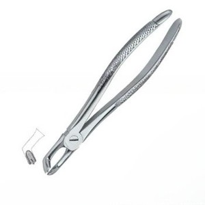 Forceps d'extraction de dents dentaires avec logo personnalisé d'excellente qualité Fig79 Instruments dentaires en acier inoxydable - Product Image 5