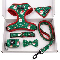 Collection d'accessoires festifs pour animaux de compagnie Collier de Noël, bandana et nœud papillon personnalisés