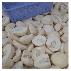 เบรดฟรุตแช่แข็งเวียดนามชิ้นผลไม้เมืองร้อนแปรรูปมาตรฐานส่งออก - Product Image 4