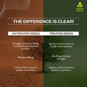 Amélioration de la germination des graines dans le chili - Product Image 4