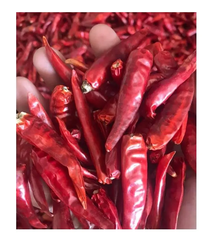 Wholesale Top Quality Dry Chili Red Chili Dried Chilli From Vietnam With Best Price For Export