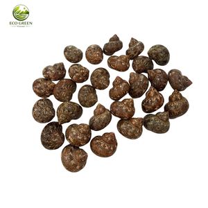 Conchas de Nácar Naturales Iridiscentes Pulimentadas al por Mayor para Decoración del Hogar, Mesas, Acuarios y Manualidades DIY - Product Image 5