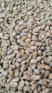 Café Arábica Robusta Puro Tostado Barato para Venta al por Mayor, Listo para Exportación - Product Image 2