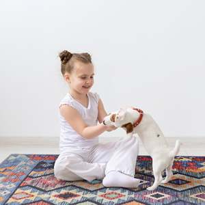 Alfombra de Área Netline Home Depot Kilim Tribal Geometric Multicolor, Lavable a Máquina, Chenilla con Respaldo de Algodón Antideslizante - Product Image 5