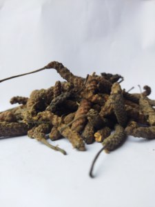 Papel largo - Product Image 2