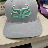 Gorras de Béisbol Personalizables de 5 Paneles, Nuevo Diseño Deportivo, Estilo de Imagen en Tela Común, Logotipo Bordado en 3D con Contraste