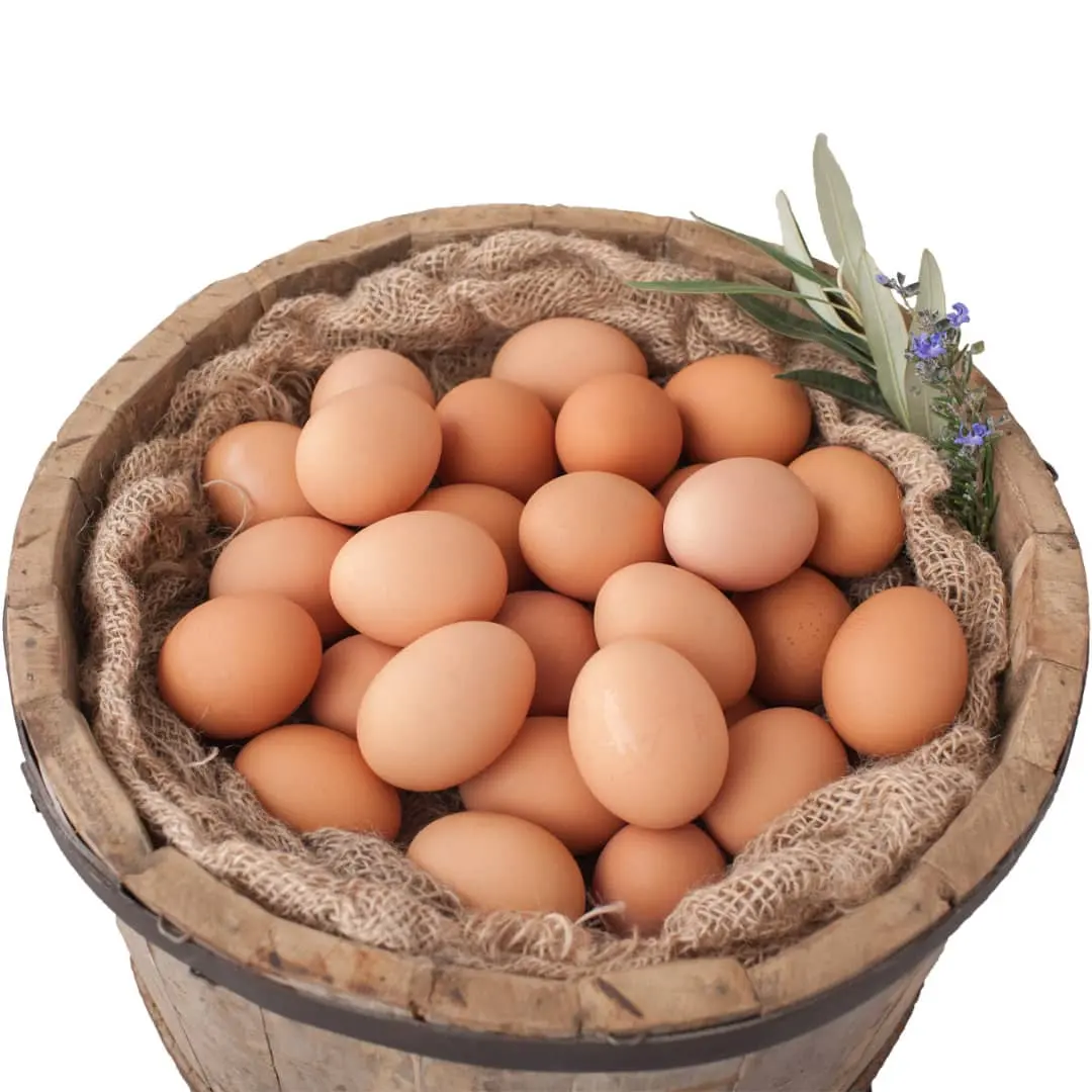 ฟาร์มไข่ไก่สดโต๊ะ สีน้ําตาลและสีขาว สีน้ําตาลสด ไข่โต๊ะสีขาว ไข่ไก่สด