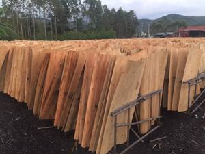 Chapa de madera de eucalipto de alta calidad, diseño Industrial, superventas, corte rotativo, construcción, núcleo de madera contrachapada de la fábrica de Vietnam - Product Image 2